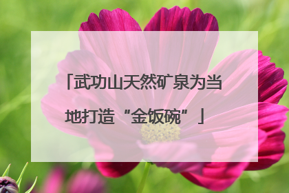 武功山天然矿泉为当地打造“金饭碗”