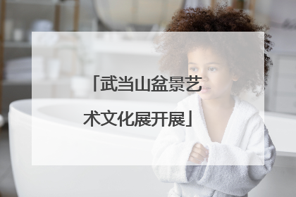 武当山盆景艺术文化展开展