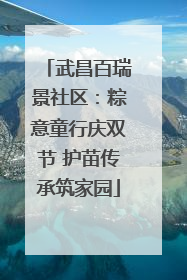 武昌百瑞景社区：粽意童行庆双节 护苗传承筑家园