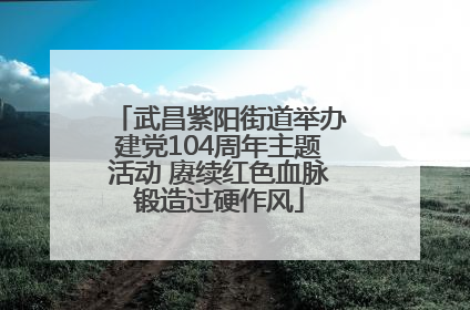 武昌紫阳街道举办建党104周年主题活动 赓续红色血脉锻造过硬作风
