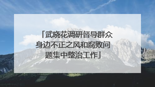 武晓花调研督导群众身边不正之风和腐败问题集中整治工作