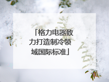 格力电器致力打造制冷领域国际标准
