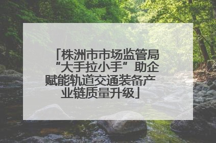 株洲市市场监管局“大手拉小手”助企赋能轨道交通装备产业链质量升级