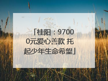 桂阳：97000元爱心善款 托起少年生命希望