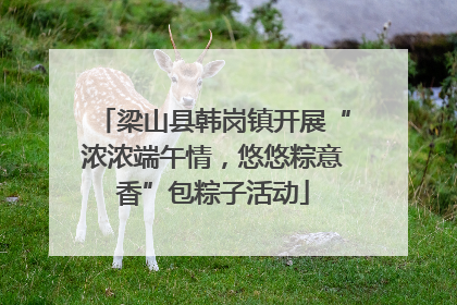 梁山县韩岗镇开展“浓浓端午情，悠悠粽意香”包粽子活动