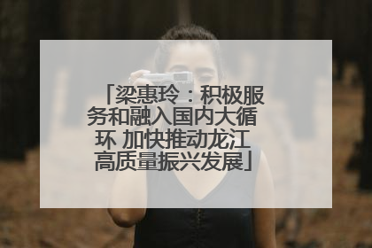 梁惠玲：积极服务和融入国内大循环 加快推动龙江高质量振兴发展
