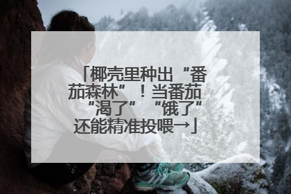 椰壳里种出“番茄森林”！当番茄“渴了”“饿了”还能精准投喂→