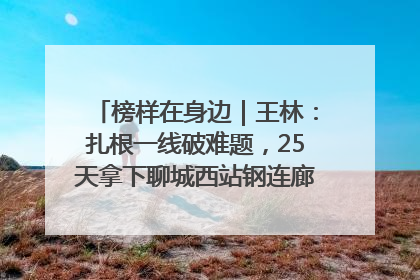 榜样在身边｜王林：扎根一线破难题，25天拿下聊城西站钢连廊“硬核”工程