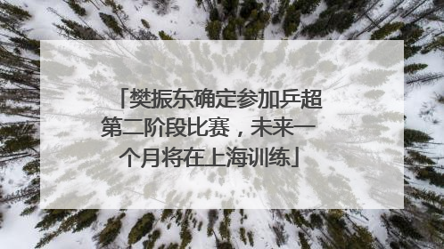樊振东确定参加乒超第二阶段比赛，未来一个月将在上海训练