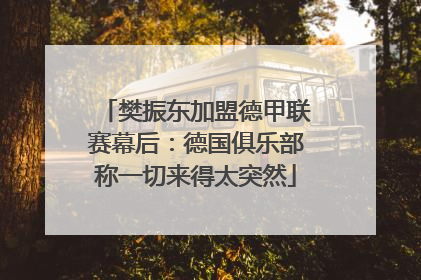 樊振东加盟德甲联赛幕后：德国俱乐部称一切来得太突然