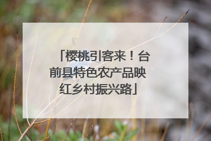 樱桃引客来！台前县特色农产品映红乡村振兴路