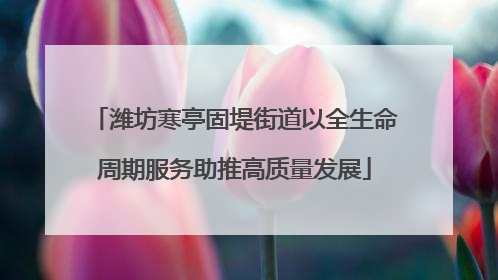 潍坊寒亭固堤街道以全生命周期服务助推高质量发展