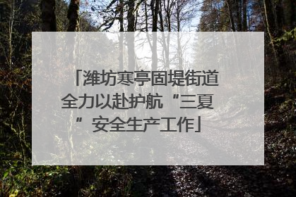潍坊寒亭固堤街道全力以赴护航“三夏”安全生产工作