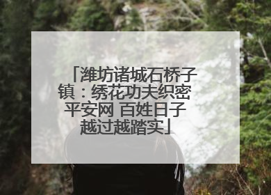 潍坊诸城石桥子镇：绣花功夫织密平安网 百姓日子越过越踏实