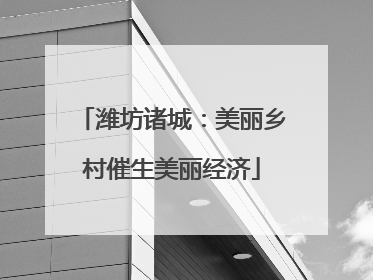 潍坊诸城：美丽乡村催生美丽经济