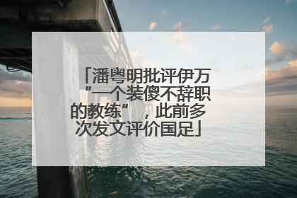 潘粤明批评伊万“一个装傻不辞职的教练”，此前多次发文评价国足
