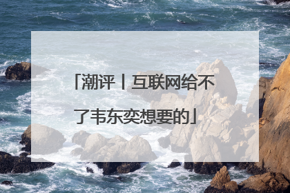 潮评丨互联网给不了韦东奕想要的