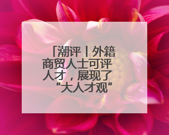 潮评丨外籍商贸人士可评人才，展现了“大人才观”的开放胸襟