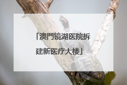 澳門镜湖医院拆建新医疗大楼