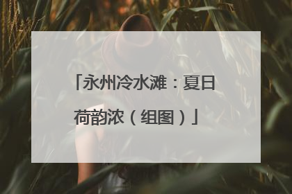永州冷水滩：夏日荷韵浓（组图）