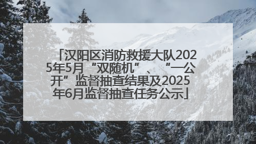 汉阳区消防救援大队2025年5月“双随机”、“一公开”监督抽查结果及2025年6月监督抽查任务公示