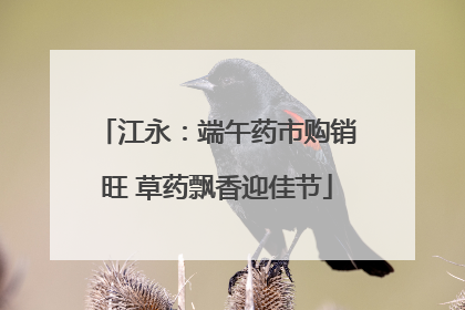 江永：端午药市购销旺 草药飘香迎佳节