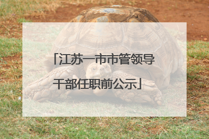 江苏一市市管领导干部任职前公示