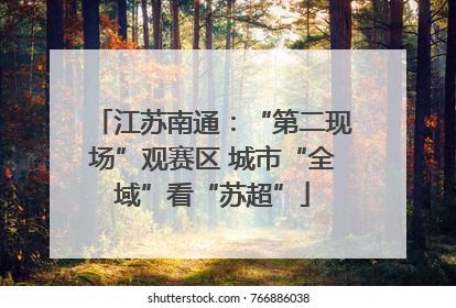 江苏南通：“第二现场”观赛区 城市“全域”看“苏超”