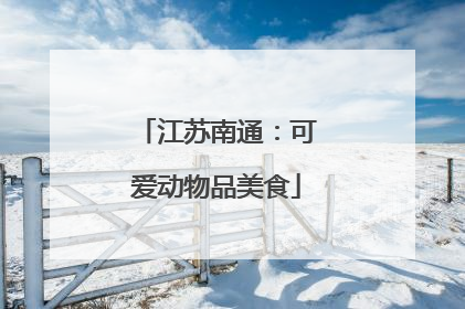 江苏南通：可爱动物品美食