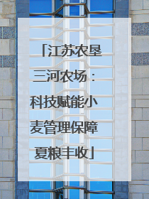 江苏农垦三河农场：科技赋能小麦管理保障夏粮丰收
