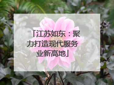 江苏如东：聚力打造现代服务业新高地