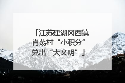 江苏建湖冈西镇肖荡村“小积分”兑出“大文明”