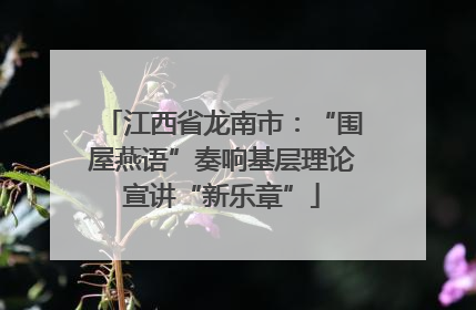 江西省龙南市：“围屋燕语”奏响基层理论宣讲“新乐章”
