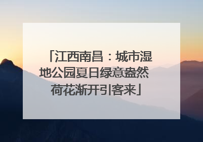 江西南昌：城市湿地公园夏日绿意盎然 荷花渐开引客来
