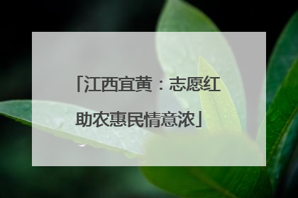 江西宜黄：志愿红助农惠民情意浓