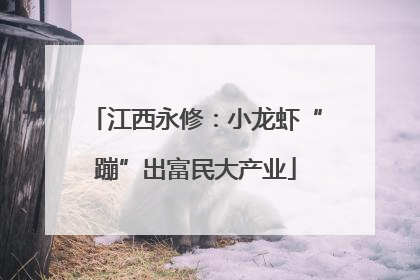 江西永修：小龙虾“蹦”出富民大产业