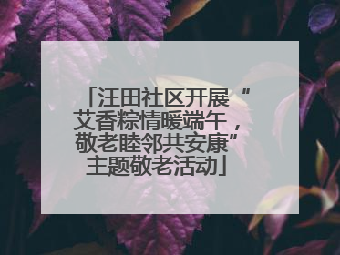 汪田社区开展“艾香粽情暖端午，敬老睦邻共安康”主题敬老活动