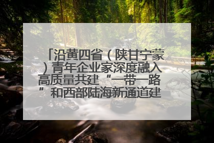 沿黄四省（陕甘宁蒙）青年企业家深度融入高质量共建“一带一路”和西部陆海新通道建设战略合作交流会在甘肃兰州召开