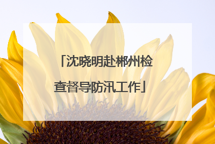 沈晓明赴郴州检查督导防汛工作