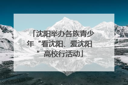 沈阳举办各族青少年“看沈阳、爱沈阳”高校行活动