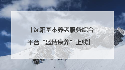 沈阳基本养老服务综合平台“盛情康养”上线