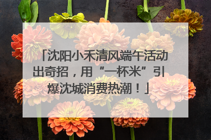 沈阳小禾清风端午活动出奇招，用“一杯米”引爆沈城消费热潮！
