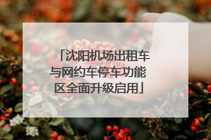 沈阳机场出租车与网约车停车功能区全面升级启用