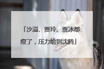 沙溢、贾玲、贾冰都瘦了，压力给到沈腾