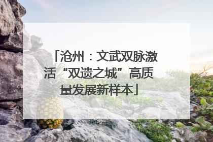 沧州：文武双脉激活“双遗之城”高质量发展新样本
