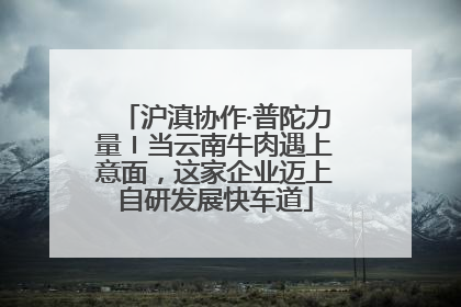 沪滇协作·普陀力量〡当云南牛肉遇上意面，这家企业迈上自研发展快车道