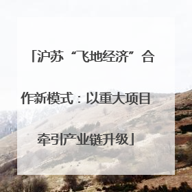 沪苏“飞地经济”合作新模式：以重大项目牵引产业链升级