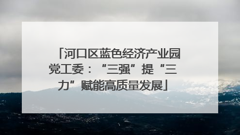 河口区蓝色经济产业园党工委：“三强”提“三力”赋能高质量发展