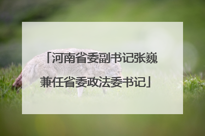 河南省委副书记张巍兼任省委政法委书记