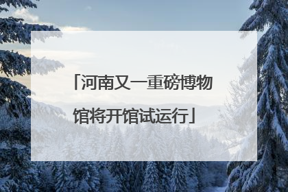 河南又一重磅博物馆将开馆试运行